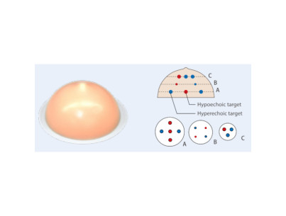 Set of two breast phantoms 2 opaque phantoms for training in biopsy under echography