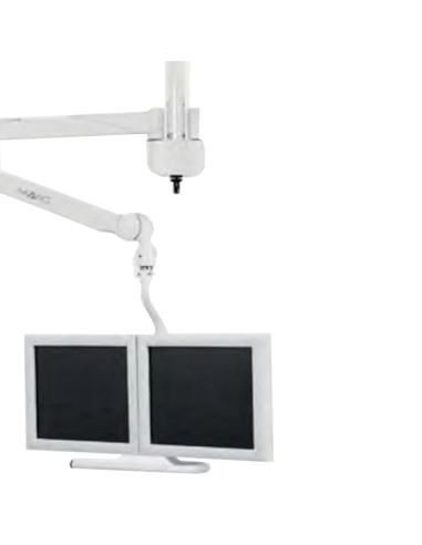 Support 2 monitors LCD 21/24 to install on arm compensated Monitor maxi 14.5 kg the pair