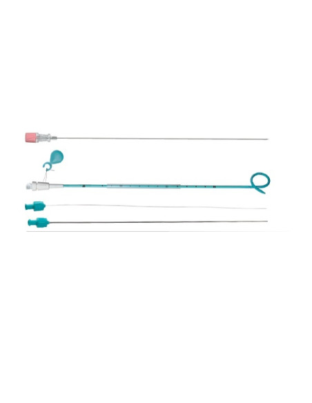 Nephrostomy kit 8F HD J 0,35x100cm dilat 6F8F cath 8Fx35cm Non locking (Box of 5)